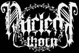 logo Nuclear Thorn